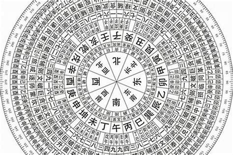 生日天干地支查詢|日干算命